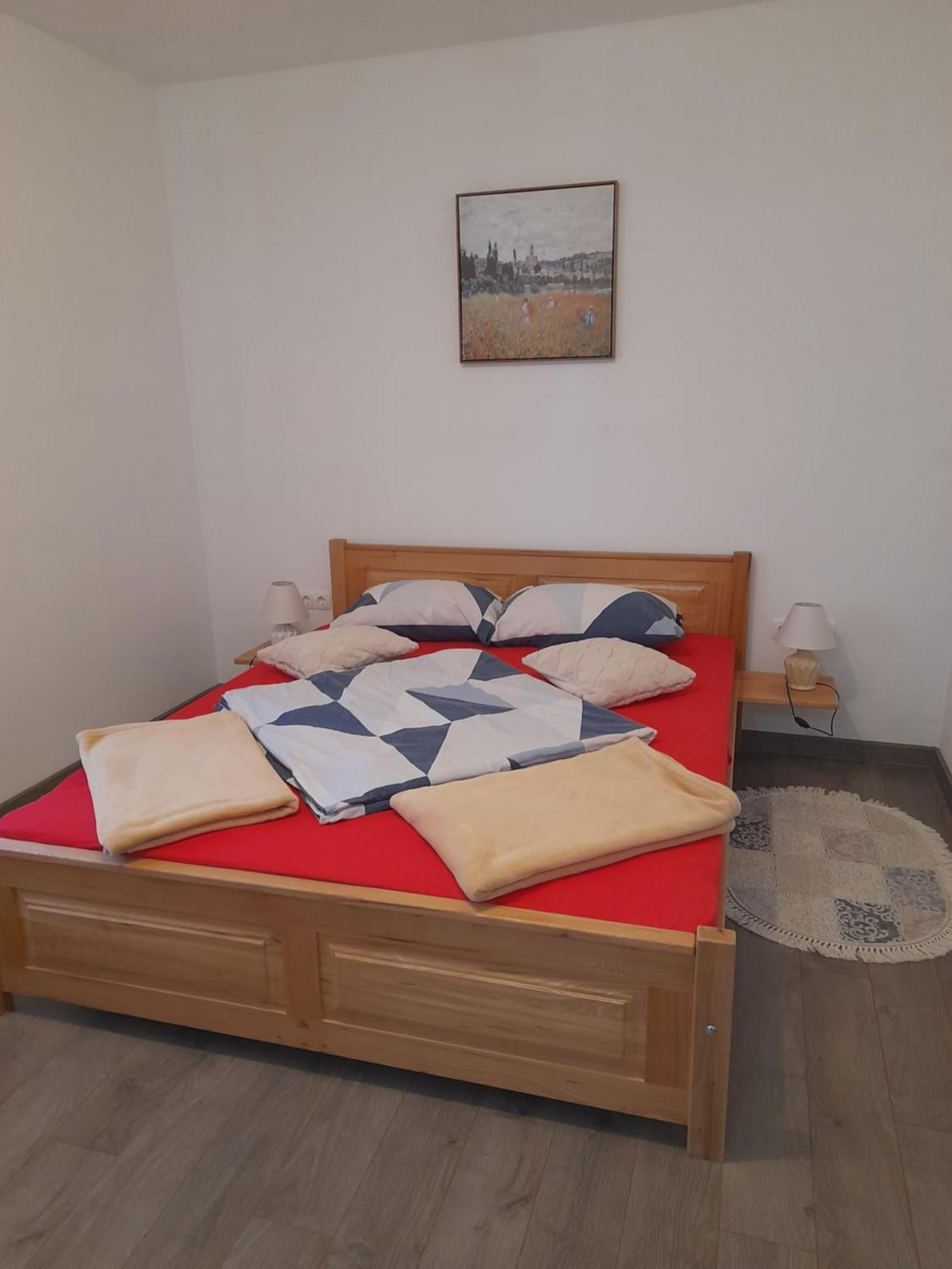 Studio Apartments Adian Korenica Cameră foto